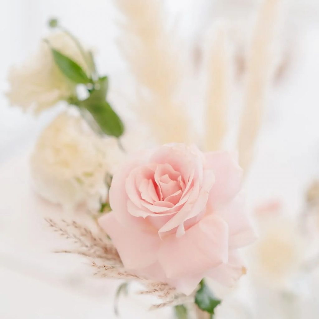 lilyandco.sg_244261660_609792513717429_7095933113725084461_n.webp