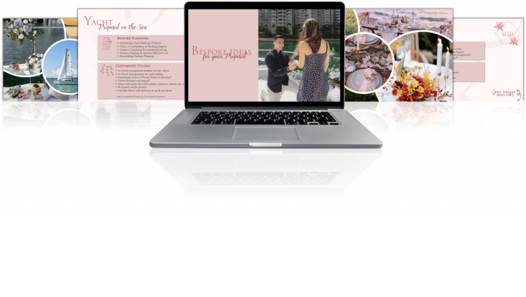 Proposal-Offer-Overvie-Pic-reflected-web